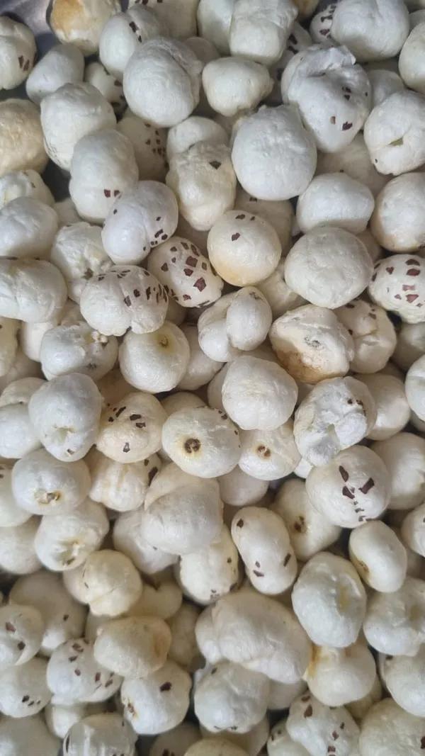 Dev_Bhog_Makhana_Foxnuts_Pack_Of_7