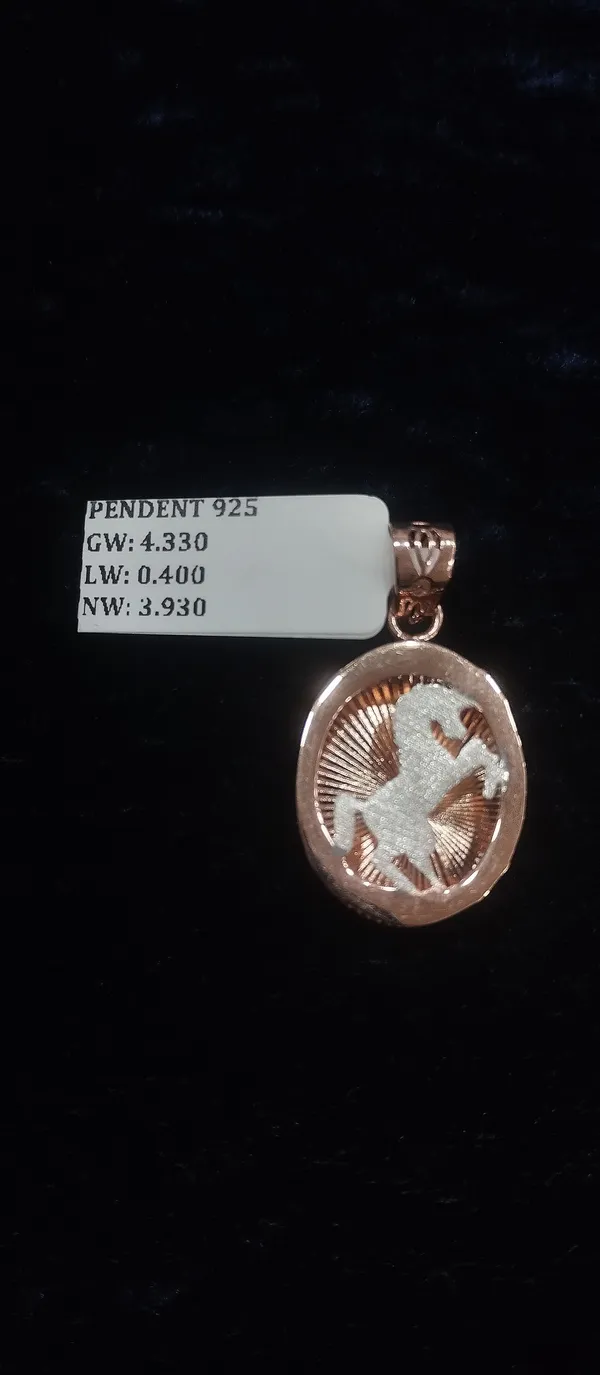 White_925_Silver_Embellished_Delicate_Chain_Pendant_For_Women