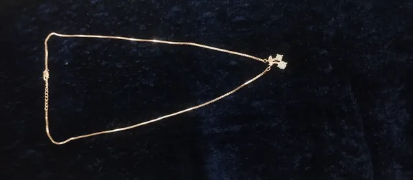Gold_Tone_Metal__Chain_Necklace_for_Women