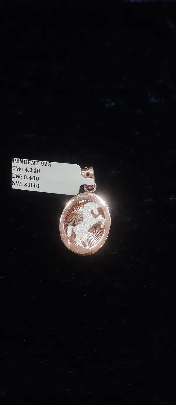 Silver_925_Silver_Stone_Embellished_Chain_Pendant_For_Women