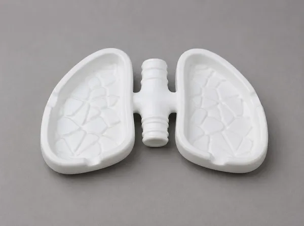 Anatomical_Ashtray