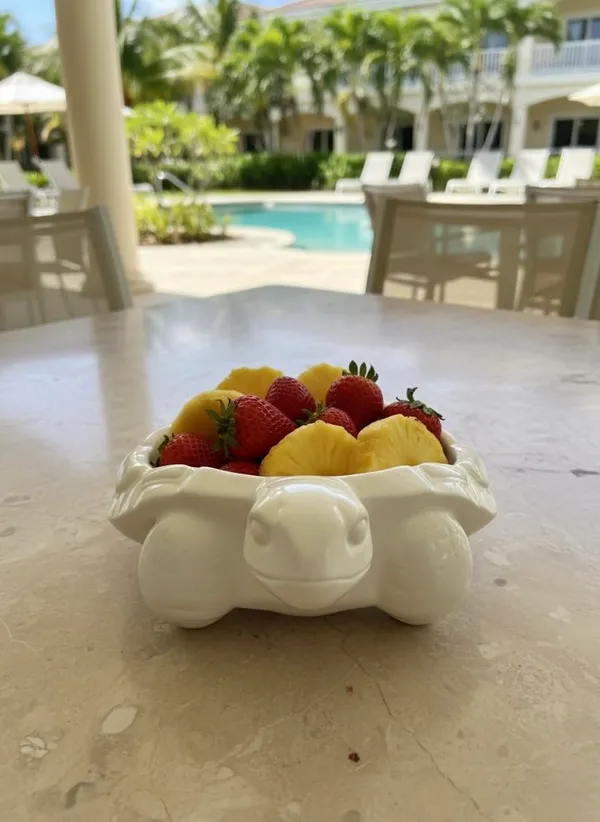 Testudo_Turtle_Shell_Bowl