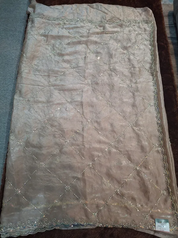 Beige_Net_Embroidered_Dupatta_for_Women