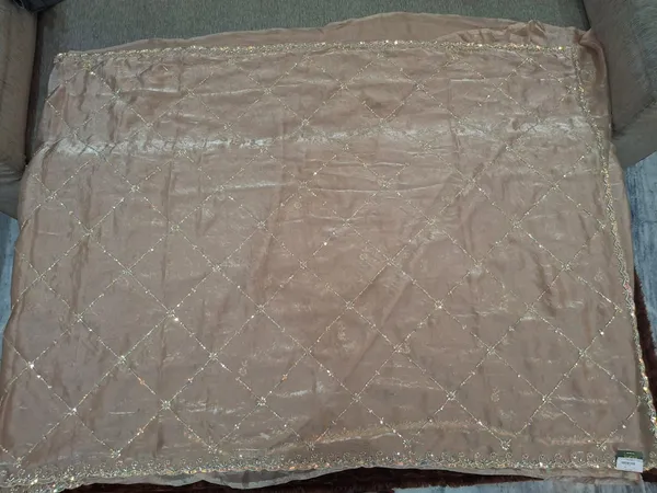 Beige_Net_Embroidered_Dupatta_for_Women