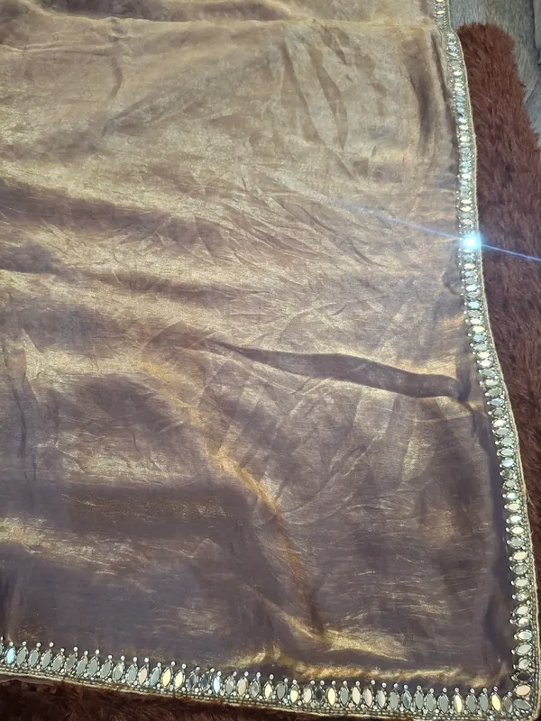 Mauve_Sheer_Embellished_Dupatta_for_Women