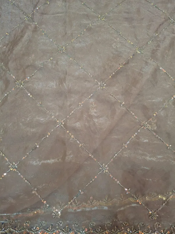 Beige_Net_Embroidered_Dupatta_for_Women