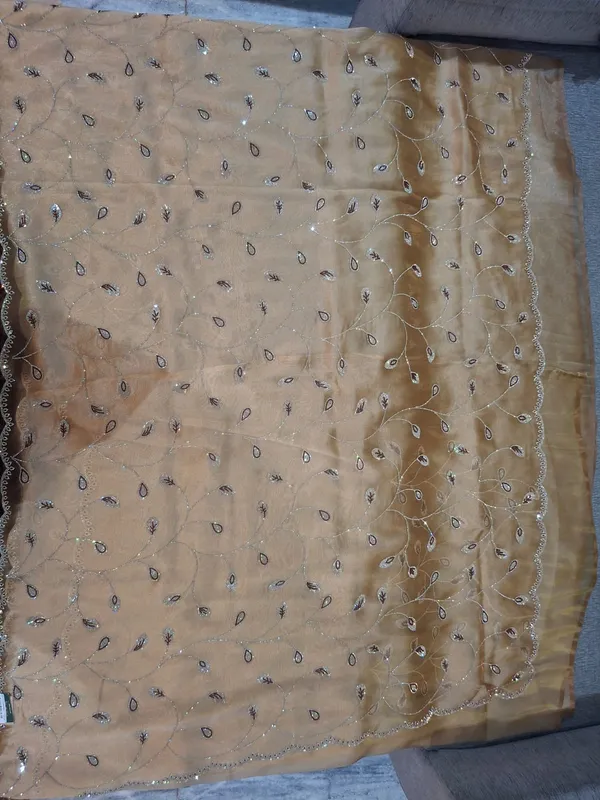 Beige_Sheer_Embroidered_Dupatta_for_Women