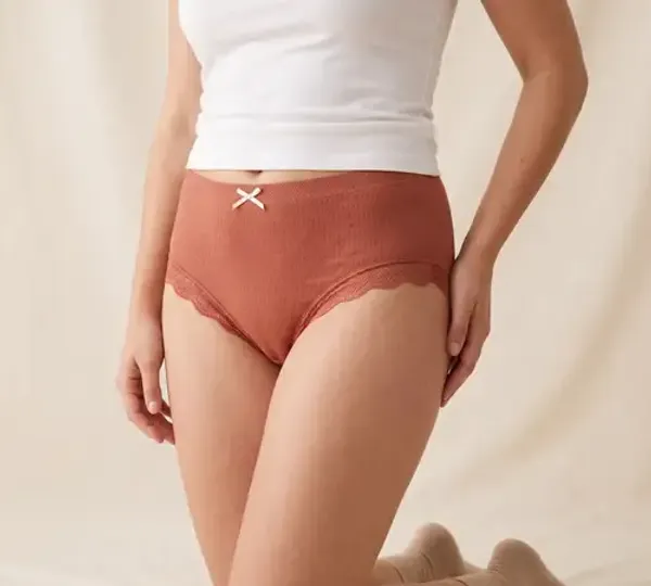 Brown_Lycra_High_Waist_Brief_For_Women_|_Pack_Of_2