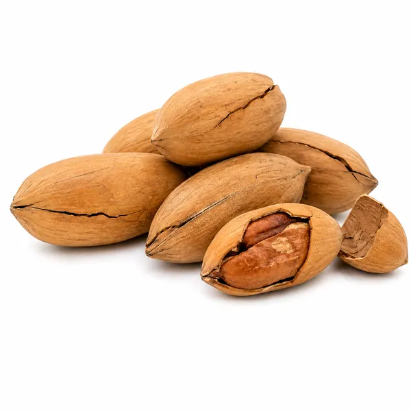 Premium_Pecan_Nuts