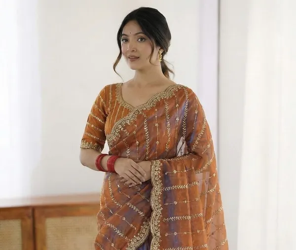 FLUIT_LESVETEMENTS_Embroidered_Bollywood_Satin_Saree_with_Unstitched_Blouse_(Orange)
