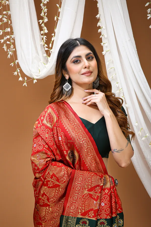 FLUIT_LESVETEMENTS_Color_Block_Banarasi_Pure_Silk_Saree_with_Unstitched_Blouse_(Red)