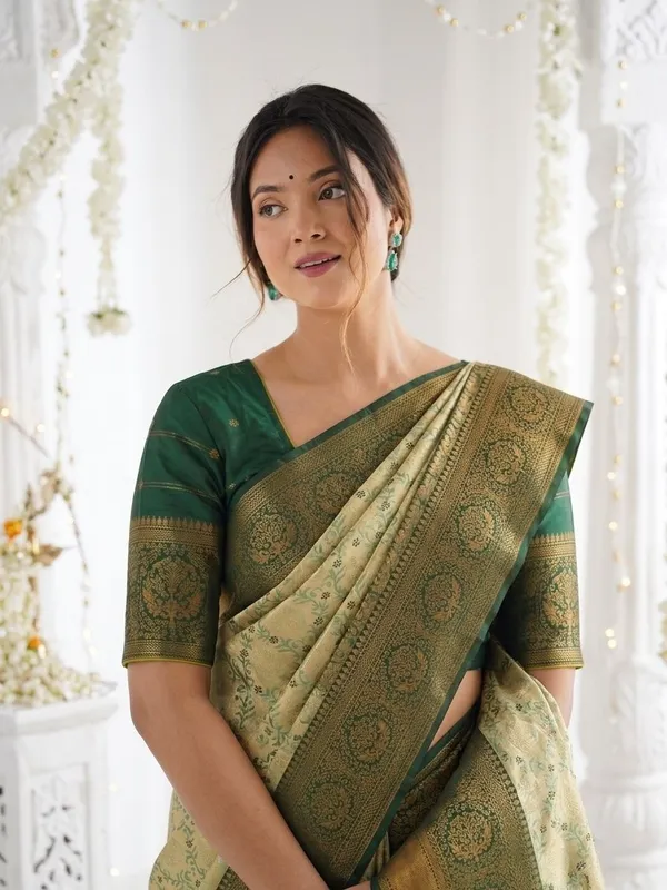 FLUIT_LESVETEMENTS_Woven_Banarasi_Pure_Silk_Saree_with_Unstitched_Blouse_(Light_Green)