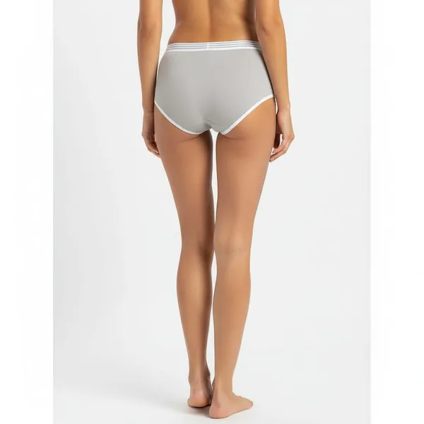 Grey_Brief_Panty_for_Women