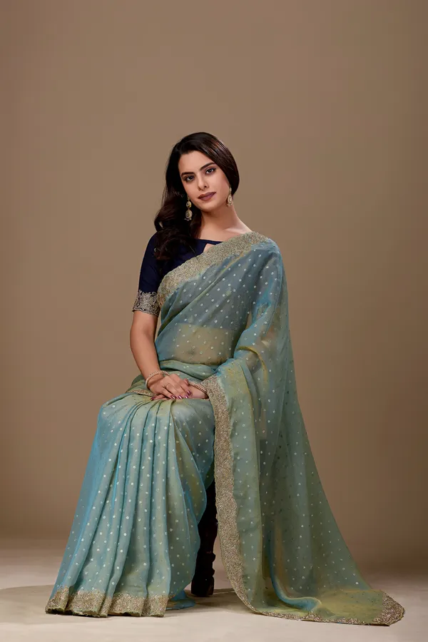 Sage_Green_Embellished_Saree_For_Women