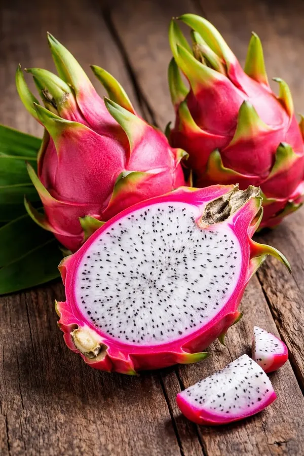 Dragon_fruit_plant