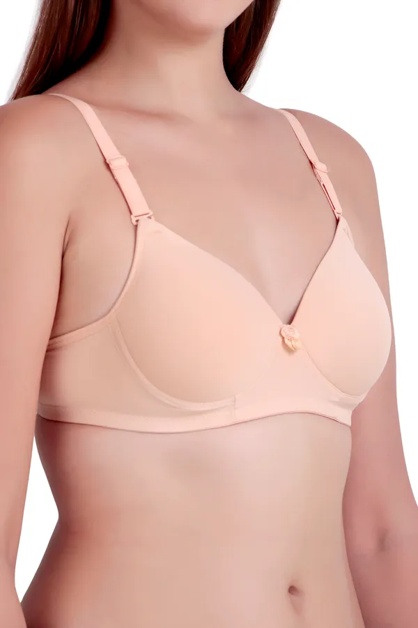 Nylon_Full_Coverage_Non-Wired_Padded_Seamless_Bra_For_Women_Pack_Of_3_(Blue,_Binge,_Brawn)