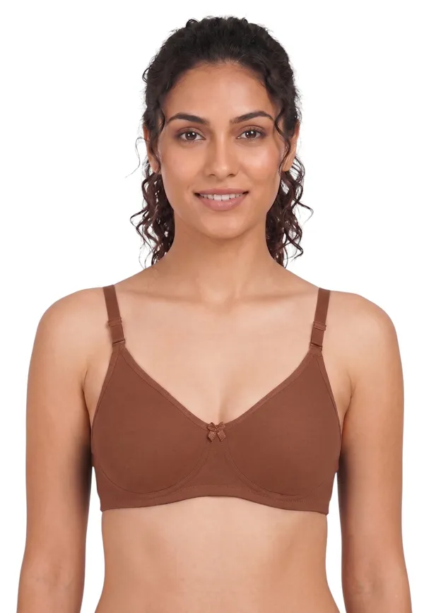 Brown,_Blue,_Purple_Nylon_Full_Coverage_Non-Wired_Non-Padded_Seamless_Bra_For_Women_Pack_Of_3