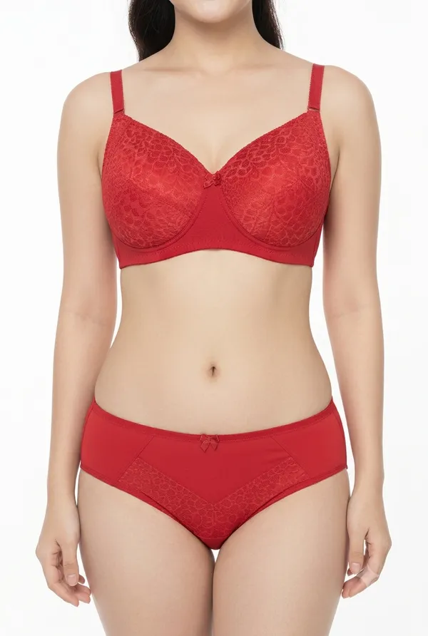 Red_Nylon_Non-Wired_Padded_Lingerie_Set_For_Women