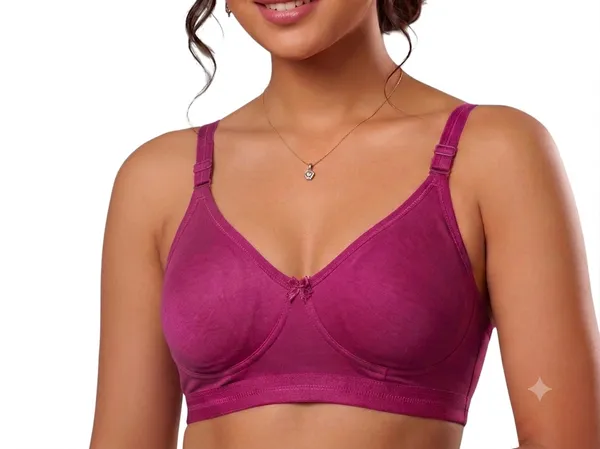 Pink,_Peach,_Purple_Nylon_Full_Coverage_Non-Wired_Padded_Seamless_Bra_For_Women_Pack_Of_3