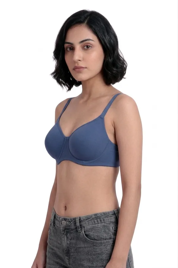 Brown,_Blue,_Peach_Nylon_Full_Coverage_Non-Wired_Padded_Seamless_Bra_For_Women_Pack_Of_3