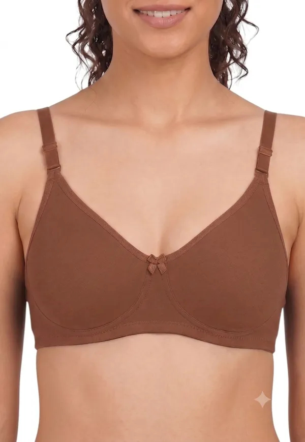 Nylon_Full_Coverage_Non-Wired_Non-Padded_Seamless_Bra_For_Women_Pack_Of_3_(Purple,_Blue,_Brawn)