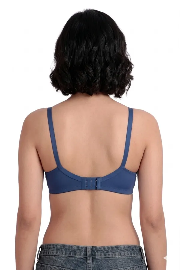 Nylon_Full_Coverage_Non-Wired_Padded_Seamless_Bra_For_Women_Pack_Of_3_(Blue,_Binge,_Brawn)