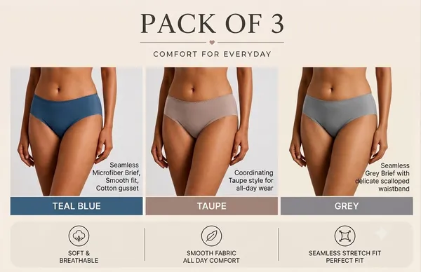 Multicolour_Nylon_Mid-Rise_Seamless_Hipster_Sweet_Brief_Panty_For_Women_Pack_Of_3