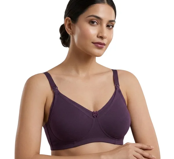 Grey,_Pink,_Purple_Nylon_Full_Coverage_Non-Wired_Non-Padded_Seamless_Maternity/Feeding_Bra_For_Women_Pack_of_3