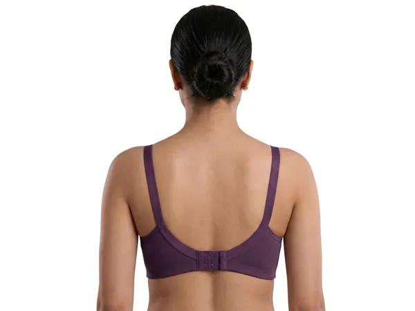 Grey,_Pink,_Purple_Nylon_Full_Coverage_Non-Wired_Non-Padded_Seamless_Maternity/Feeding_Bra_For_Women_Pack_of_3