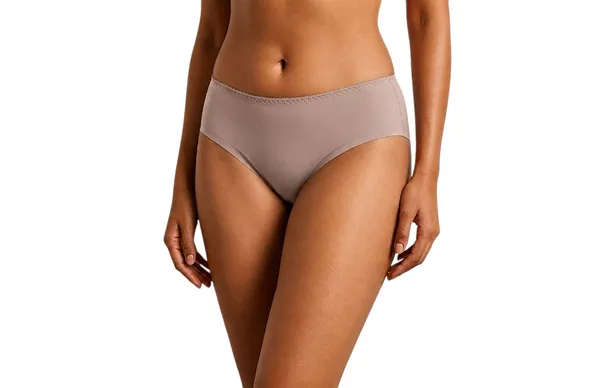 Multicolor_Nylon_Mid-Rise_Seamless_Hipster_Brief_Panty_For_Women_Pack_Of_3