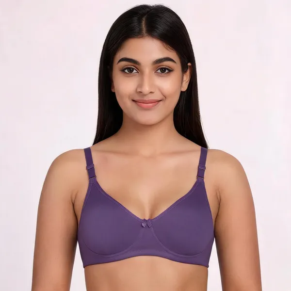 Nylon_Full_Coverage_Non-Wired_Non-Padded_Seamless_Bra_For_Women_Pack_Of_3_(Purple,_Blue,_Brawn)