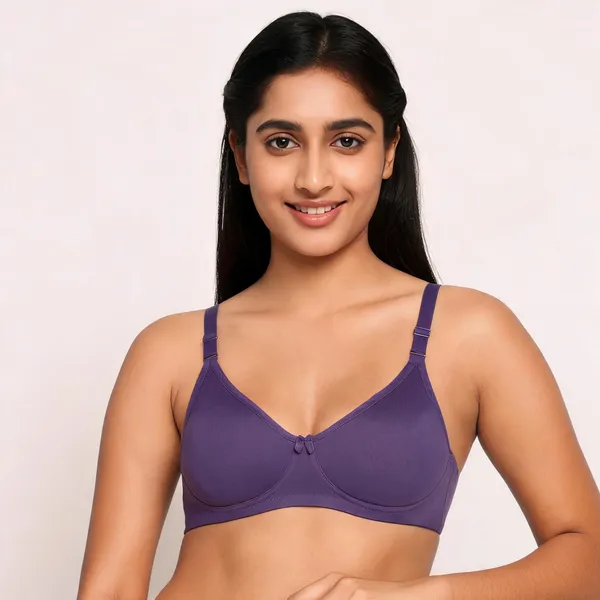 Nylon_Full_Coverage_Non-Wired_Non-Padded_Seamless_Bra_For_Women_Pack_Of_3_(Purple,_Blue,_Brawn)