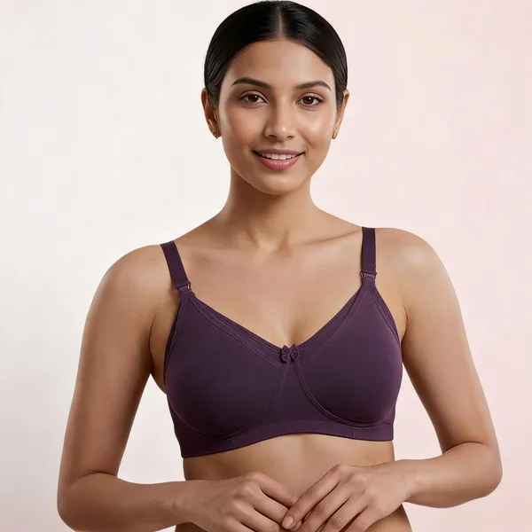 Purple,_Grey,_Purple_Nylon_Full_Coverage_Non-Wired_Non-Padded_Seamless_Maternity/Feeding_Bra_For_Women_Pack_of_3