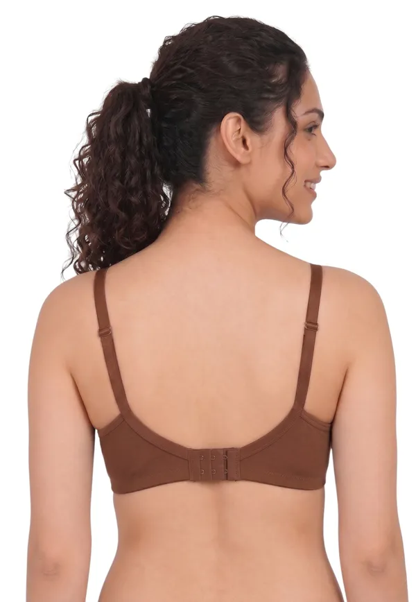 Brown,_Blue,_Purple_Nylon_Full_Coverage_Non-Wired_Non-Padded_Seamless_Bra_For_Women_Pack_Of_3