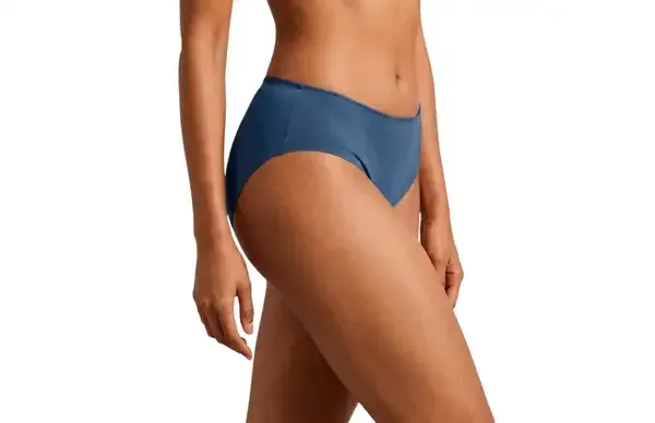 Multicolor_Nylon_Mid-Rise_Seamless_Hipster_Brief_Panty_For_Women_Pack_Of_3