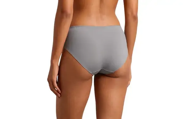 Multicolor_Nylon_Mid-Rise_Seamless_Hipster_Brief_Panty_For_Women_Pack_Of_3