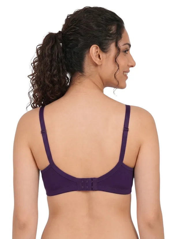 Brown,_Blue,_Purple_Nylon_Full_Coverage_Non-Wired_Non-Padded_Seamless_Bra_For_Women_Pack_Of_3