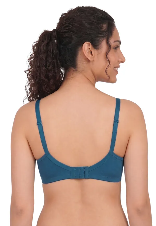 Brown,_Blue,_Purple_Nylon_Full_Coverage_Non-Wired_Non-Padded_Seamless_Bra_For_Women_Pack_Of_3