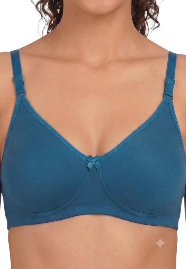 Brown,_Blue,_Purple_Nylon_Full_Coverage_Non-Wired_Non-Padded_Seamless_Bra_For_Women_Pack_Of_3