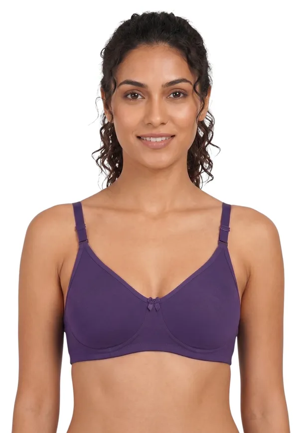 Brown,_Blue,_Purple_Nylon_Full_Coverage_Non-Wired_Non-Padded_Seamless_Bra_For_Women_Pack_Of_3