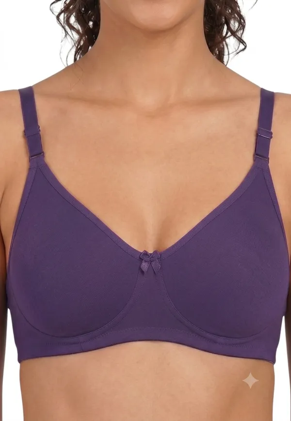 Brown,_Blue,_Purple_Nylon_Full_Coverage_Non-Wired_Non-Padded_Seamless_Bra_For_Women_Pack_Of_3