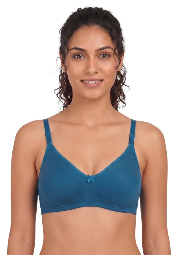 Brown,_Blue,_Purple_Nylon_Full_Coverage_Non-Wired_Non-Padded_Seamless_Bra_For_Women_Pack_Of_3