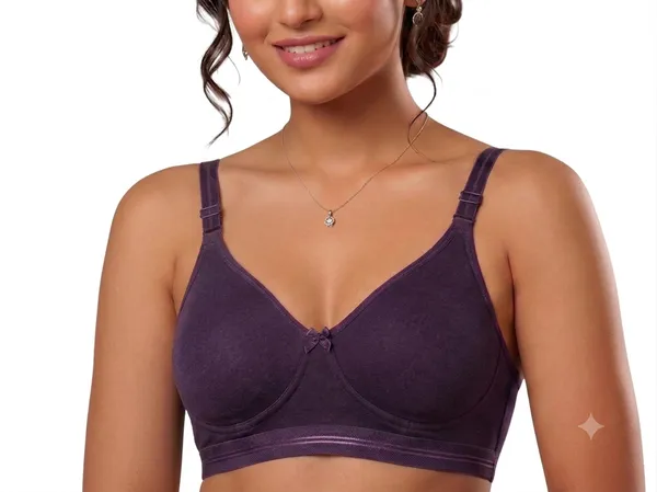 Pink,_Peach,_Purple_Nylon_Full_Coverage_Non-Wired_Padded_Seamless_Bra_For_Women_Pack_Of_3