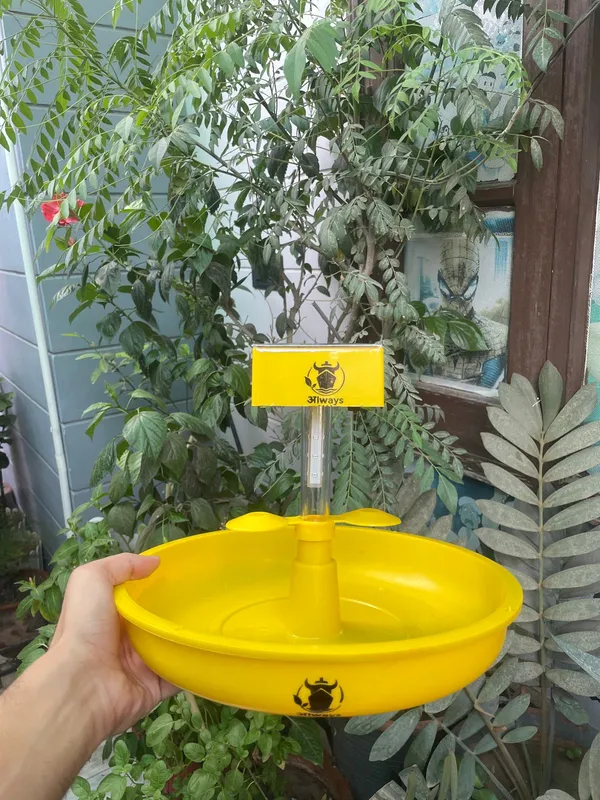 Always_Care_Solar_Trap