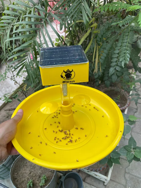 Always_Care_Solar_Trap