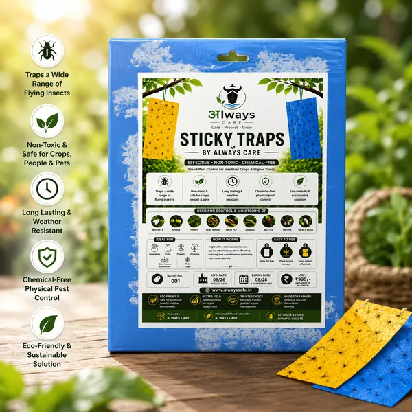 Always_care_sticky_pads