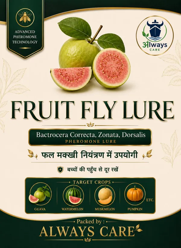 Fruit_Fly_Trap_With_Pheromone_Lure