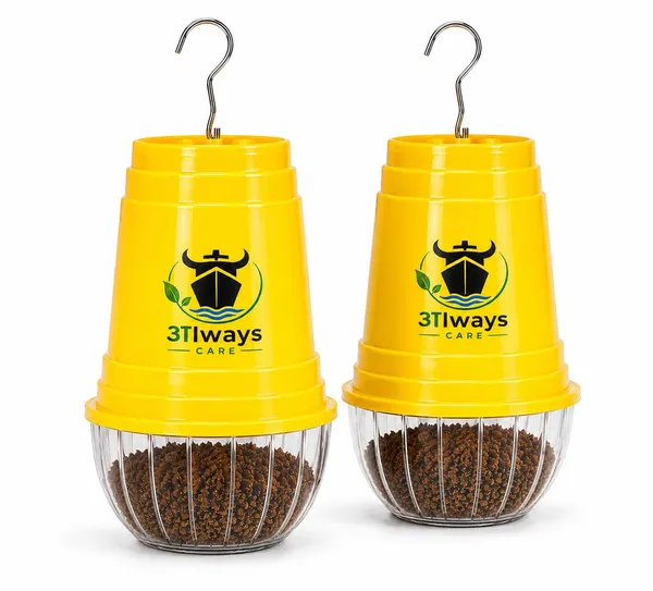 Always_Care_Fruit_Fly_Trap_With_Pheromone_Lure_Pack_Of_2