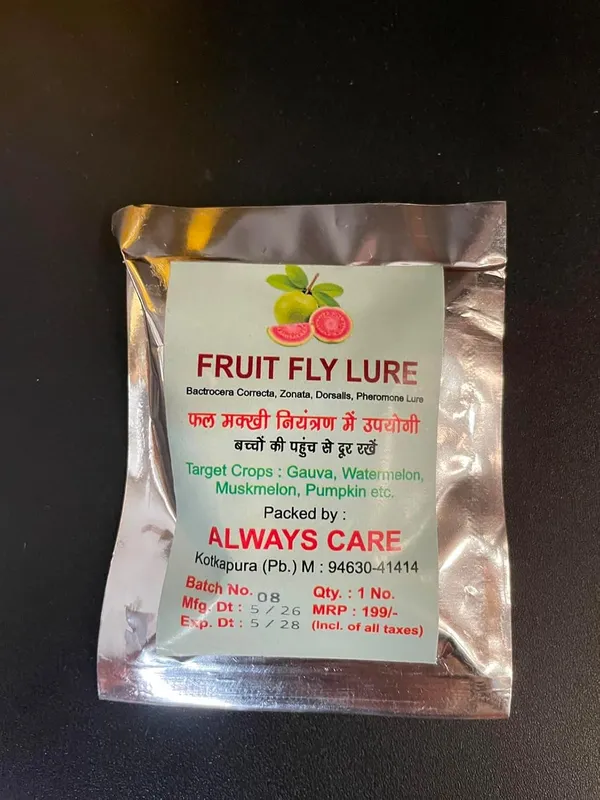 Always_Care_Fruit_Fly_Trap_With_Pheromone_Lure_Pack_Of_20