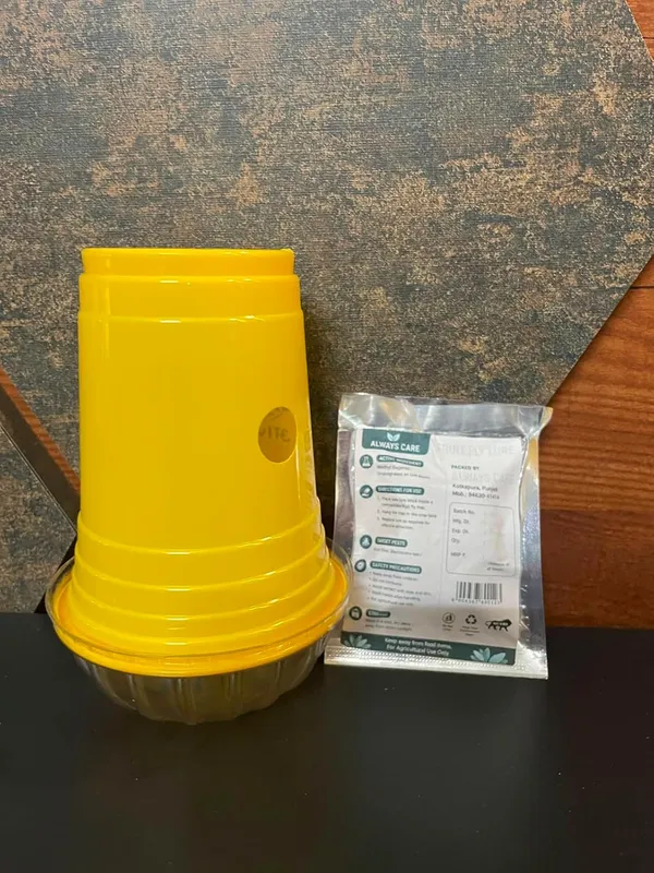 Always_Care_Fruit_Fly_Trap_With_Pheromone_Lure_Pack_Of_20